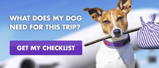 Dog with bindle in mouth ready to fly