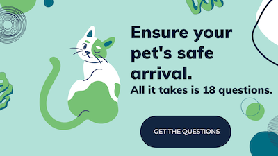 Cat graphic reading ensure your pet's safe arrival - all it takes is 18 questions. Get the questions.
