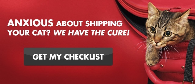 Cat in a red suitcase ready to fly