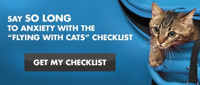 Cat in a blue suitcase ready to fly