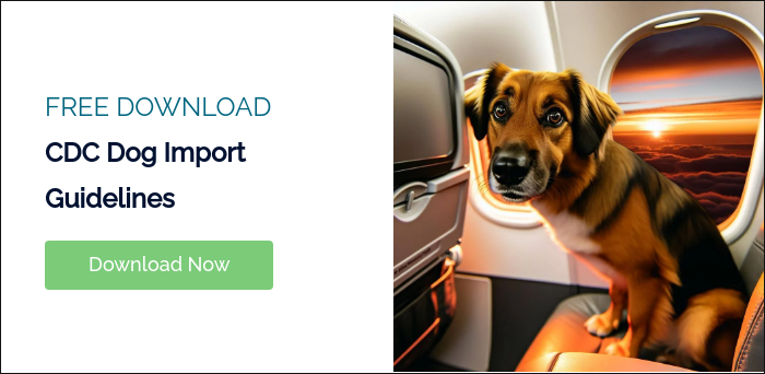 FREE DOWNLOAD CDC Dog Import Guidelines &nbsp;