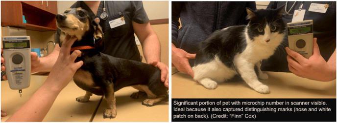 Australia IPA Photos