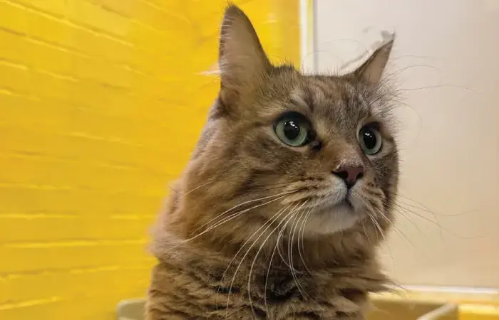 Ziggy and&nbsp;Friday